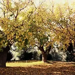 I Duchi Pellegrini Farmház