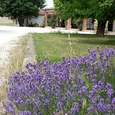 I Duchi Pellegrini Séjour à la ferme *