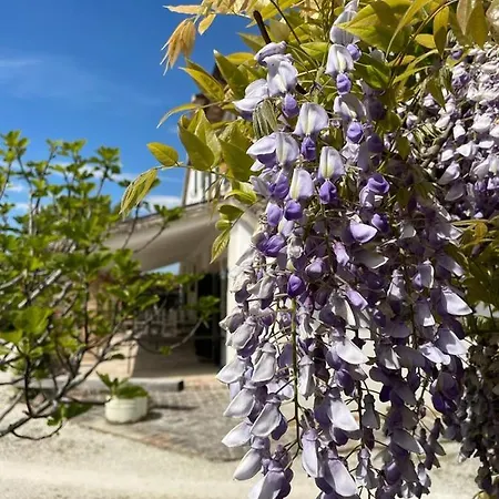 Alloggio per agriturismo I Duchi Pellegrini