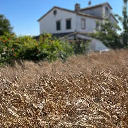 I Duchi Pellegrini *