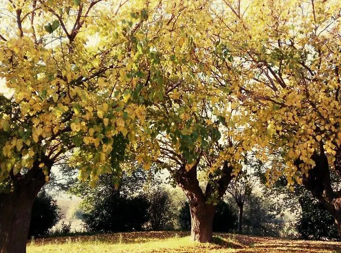 I Duchi Pellegrini Agroturismo