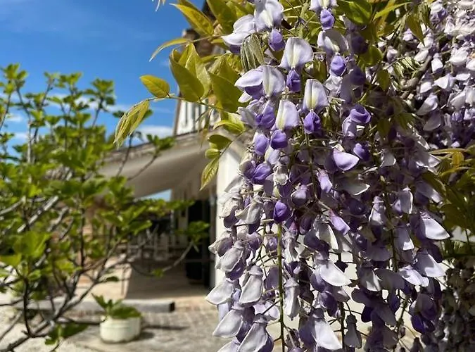 Agroturismo I Duchi Pellegrini